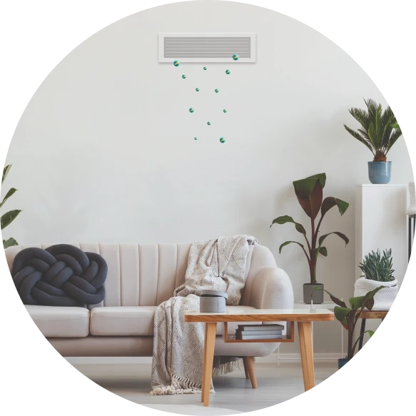 AirQ